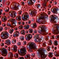 Barbera Juice California - Call for availability